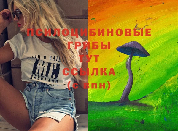 дурь Верхний Тагил