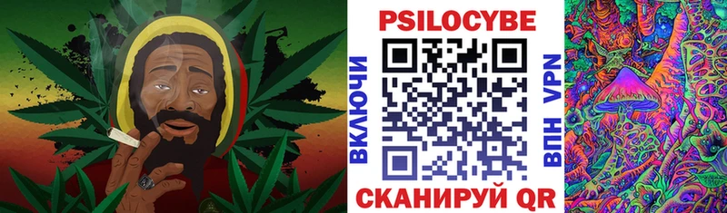 Галлюциногенные грибы мицелий где можно купить наркотик Касли