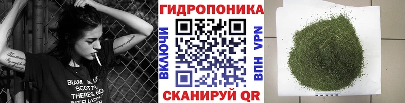 дарнет шоп  Касли  даркнет Telegram  МАРИХУАНА THC 21% 